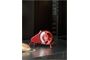 Graef H 93 MANUALE Rot