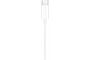 Apple EarPods (USB-C)