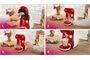Bosch TAS1006 Rot-Weiss