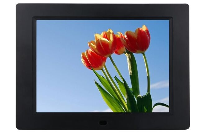 Braun DigiFrame 857 (8")