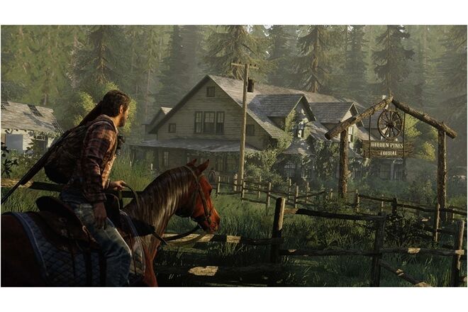 CD-Lieferant The Last of Us Remastered (PS4) ak Plays